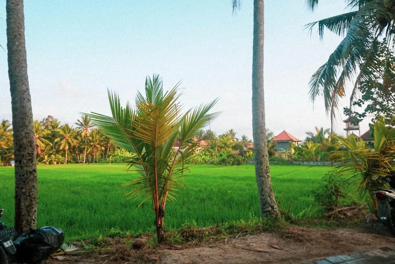 Restu House Hotel Ubud  Guest house Ubud (Bali)