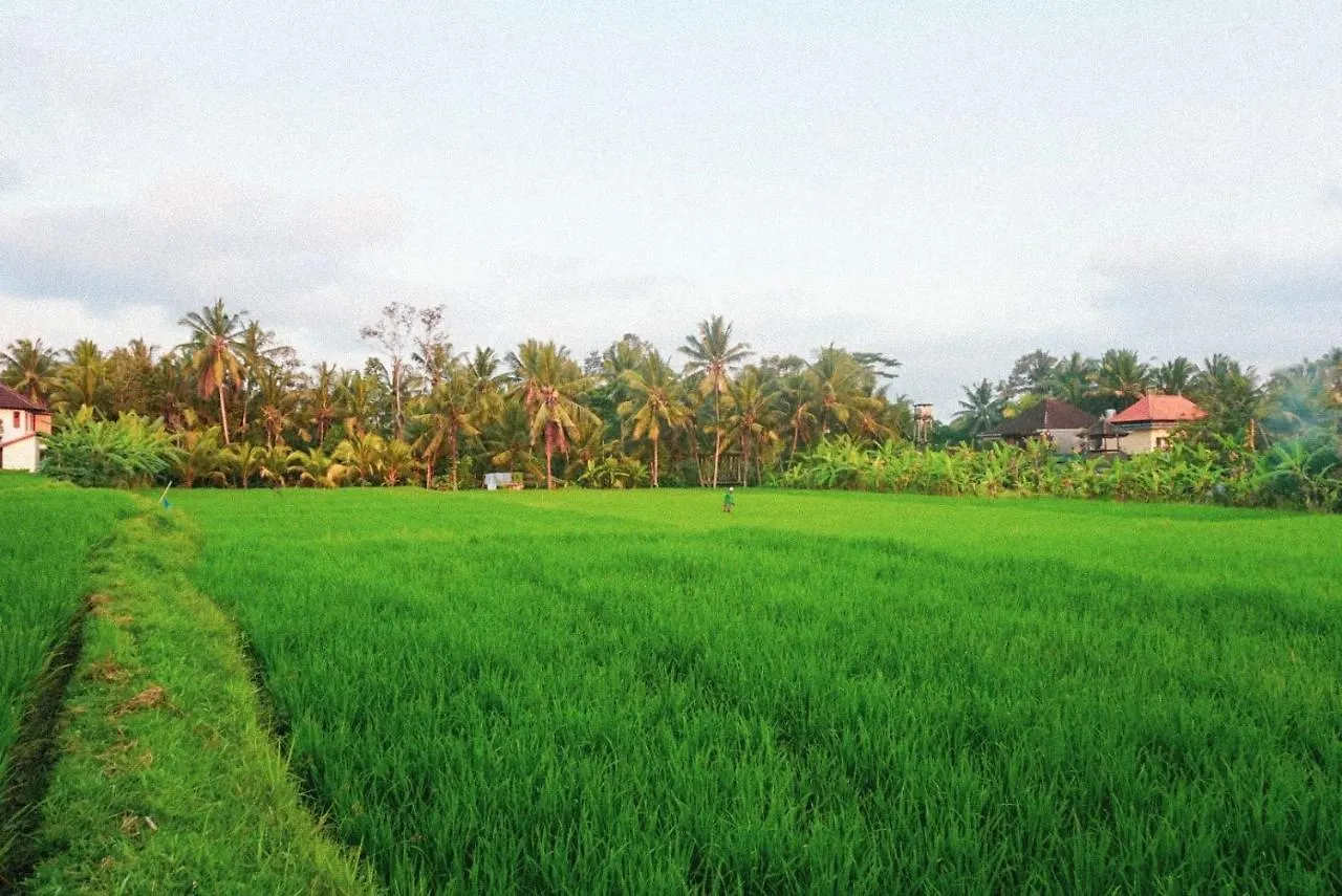 Restu House Hotel Ubud  2*, Ubud (Bali) Indonesia