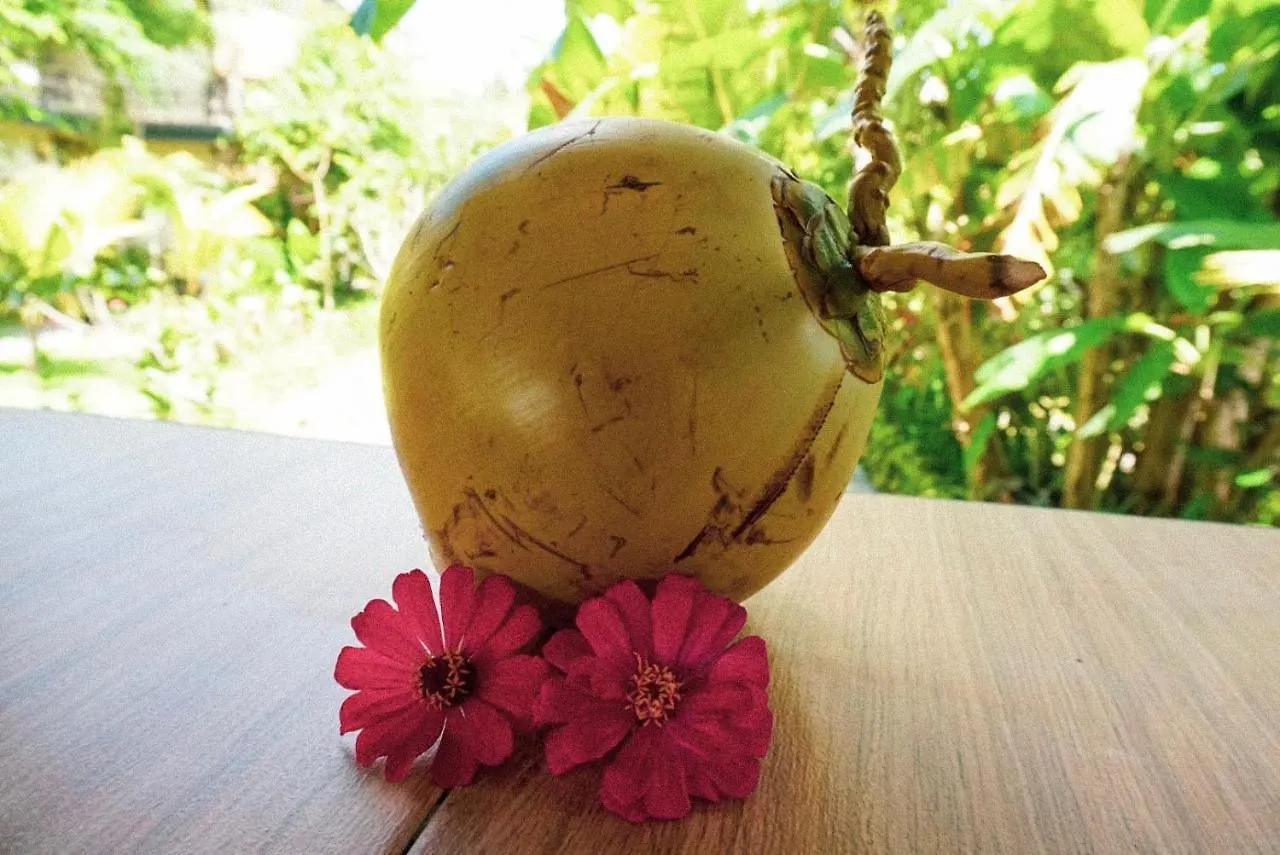 ** Guest house Restu House Hotel Ubud  Indonesia