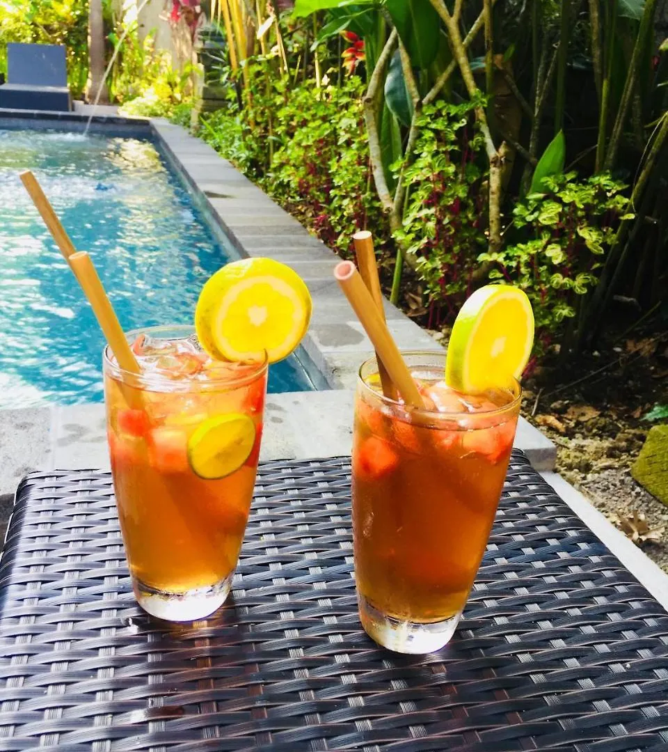 Restu House Hotel Ubud  Guest house Ubud (Bali)