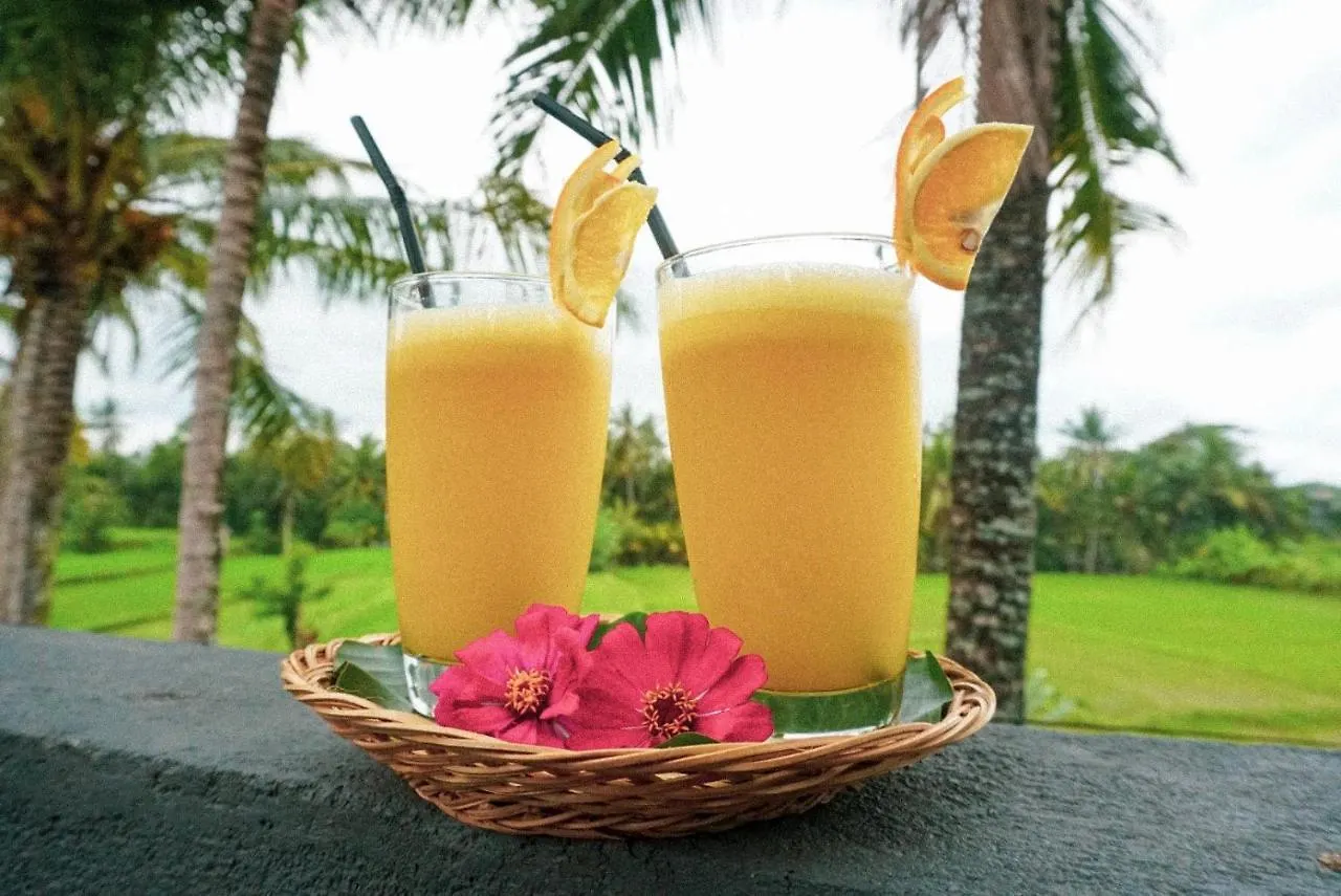 Hotel Restu House Ubud Penzion