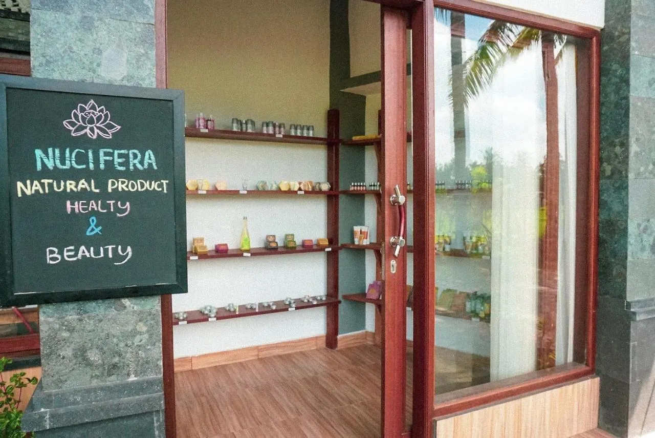 Hotel Restu House Ubud Penzion